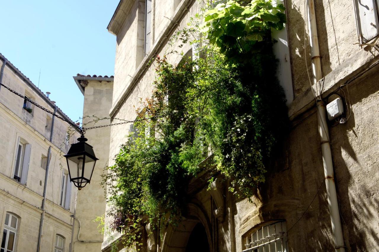 "Chambre D'Autres", Massages Montpellier Dış mekan fotoğraf